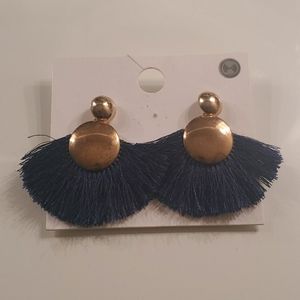 Blue Fringe Earrings